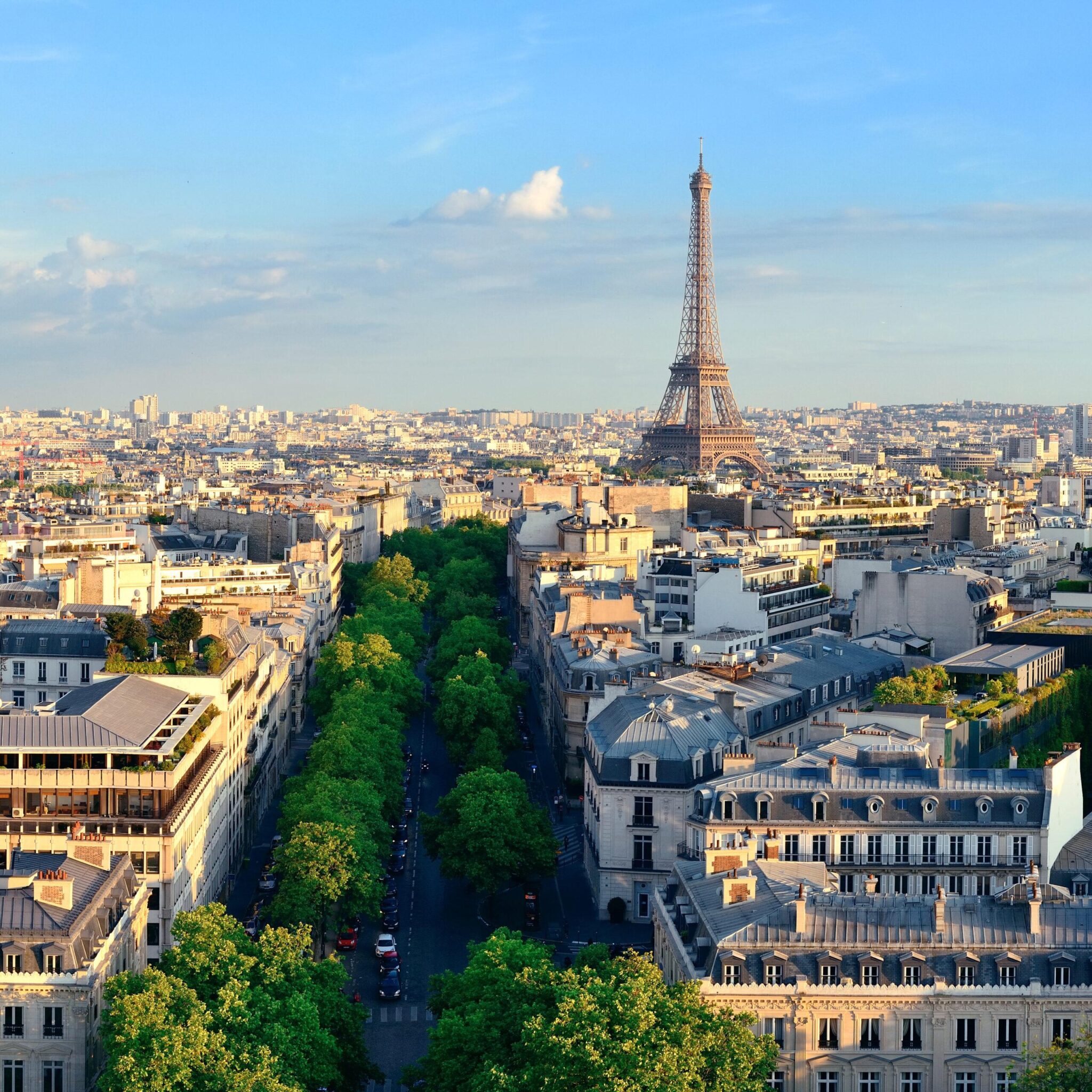 Paris rooftop view